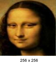 mona
