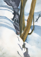 Watercolor of winter bones