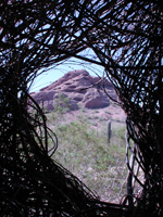 view from a plant sculpture