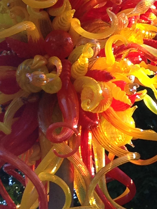 %_tempFileName2015-01-19%2009.27.11Chihuly%