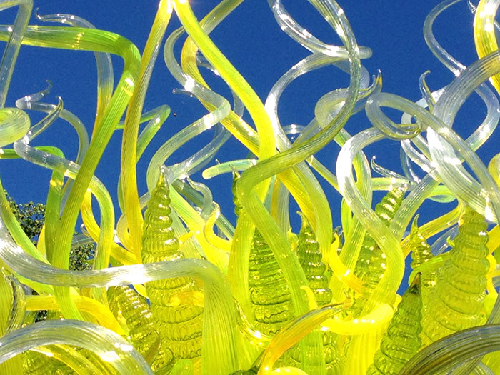 %_tempFileName2015-01-19%2009.54.36Chihuly%