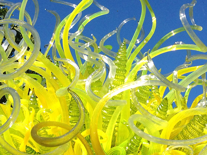 %_tempFileName2015-01-19%2009.54.56Chihuly%