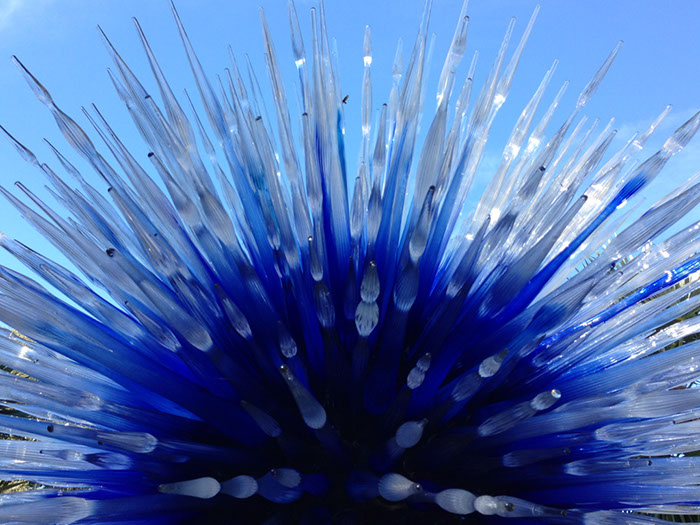 %_tempFileName2015-01-19%2010.12.45Chihuly%