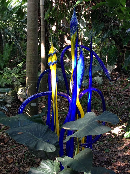 %_tempFileName2015-01-19%2010.32.16Chihuly%