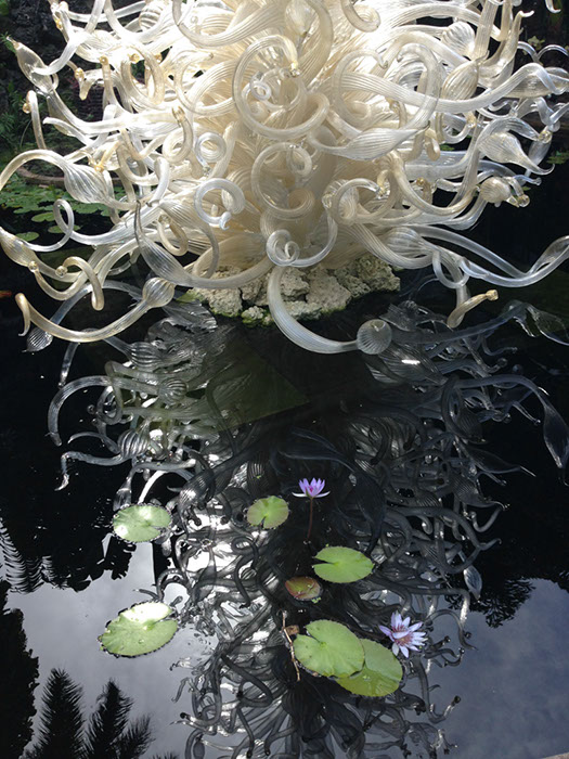 %_tempFileName2015-01-19%2013.33.37Chihuly%