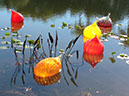 %_tempFileName2015-01-19%2009.18.09Chihuly%