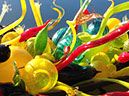 %_tempFileName2015-01-19%2009.20.34Chihuly%