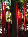 %_tempFileName2015-01-19%2010.07.03Chihuly%