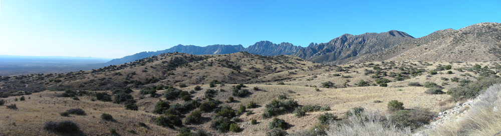 panorama of the Organ Mountains