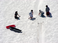 kids sledding on the dune