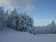 Photograph of Okemo