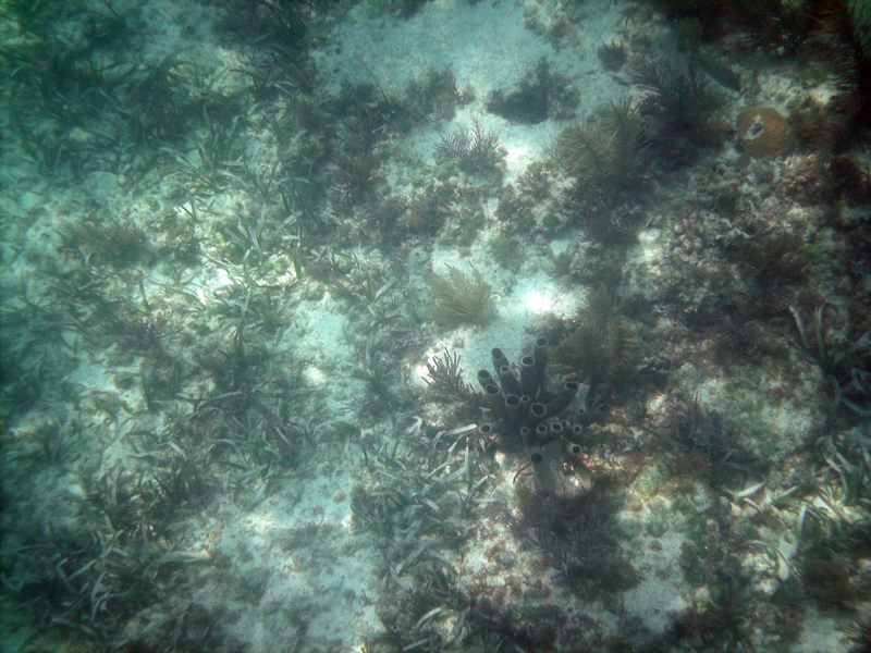 09-PICT0101