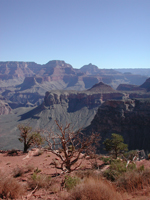 view from Cedar Ridge