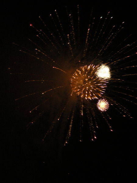 DSCN1304