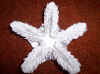 OrigamiModel2004_9p2.jpg (74934 bytes)