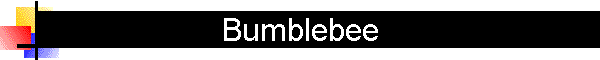 Bumblebee