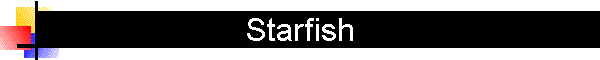 Starfish