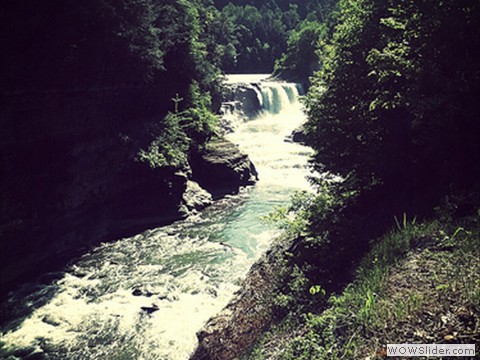 niagra trip