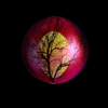 spheres
