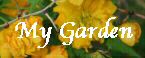 flower image, link to garden flower slide show