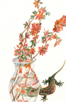 Watercolor of quince flowers and a gecko