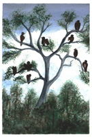 Watercolor of tree with vultures