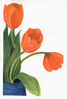 Watercolor of three tulips