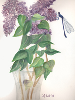 Watercolor of an lilacs with a damselfly