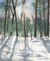 Watercolor of winter sun through trees