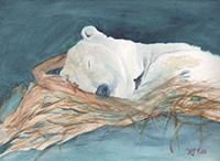Watercolor of a sleeping Polar Bear