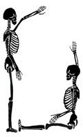 border skeletons