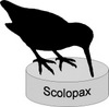 Scolopax logo